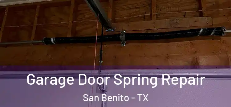  Garage Door Spring Repair San Benito - TX